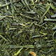 Bio Grüner Tee Japan Sencha Satsuma - 500g